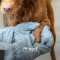PROAD - Keep Me Clean - Pet Cleansing Spray 120ml.
