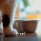 PROAD Keep Bowls Clean - Dish Washing Liquid for Pets
