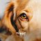 PROAD - Keep EYE Clean - ผลิตภัณฑ์ทำความสะอาดตาสำหรับสัตว์เลี้ยง