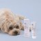 Pet’O CERA Cream  ครีมบำรุงผิว เพิ่มความชุ่มชื้นเป็นพิเศษเหมาะสำหรับสัตว์เลี้ยง 50g.