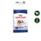 Royal Canin Maxi Adult - สำหรับสุนัขโต พันธุ์ใหญ่