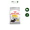 Royal Canin Mini Dermacomfort - สุนัขโต พันธุ์เล็ก ผิวแพ้ง่าย