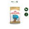 Royal Canin Poodle Puppy - ลูกสุนัข พันธุ์พุดเดิ้ล