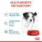 Royal Canin Wet Mini Puppy in Gravy - อาหารเปียกสูตรลูกสุนัขพันธุ์เล็ก [85g.x12ซอง]