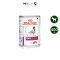 Royal Canin Vet Dog Renal - อาหารเปียกสูตรดูแลไต