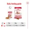 Royal Canin Medium Ageing 10+ Gravy - สุนัขสูงวัย พันธุ์กลาง อายุ 10 ปีขึ้นไป [140 กรัม.,10 ซอง]