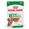 Royal Canin Wet MINI AGEING 8+ in GRAVY - อาหารเปียกสูตรสุนัขสูงวัยพันธุ์เล็ก [85g.x12ซอง]