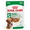 Royal Canin Dog Mini Adult Gravy Pouch - สุนัขโต พันธุ์เล็ก  [85g.,12ซอง]