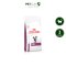 Royal Canin Vet Cat Renal - อาหารเม็ดแมวสูตรดูแลไต