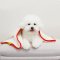 WINIZ Pet Towel