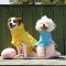 WINIZ Pet Raincoat