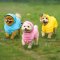 WINIZ Pet Raincoat