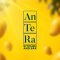 The antera