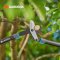 Gardena กรรไกรตัดกิ่ง EnergyCut Pro L (12051-20)