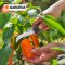 Gardena VeggieCut (12211-20)