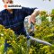 Gardena Hedge Clippers 2in1 EnergyCut (12303-30)