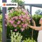 Gardena Comfort Hanging Basket Spray Lance (18335-20)