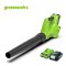Greenworks Battery Azial Blower 24V Including Battery (2 ah)and Fast Charger