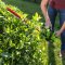 Greenworks Battery Hedge Trimmer 24V Deluxe Including Battery(4AH) and Fart Charger