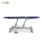 Electric Physiotherapy Treatment Table with Multi-Level Adjustable Backrest – 1-Year Warranty