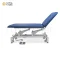 Electric Physiotherapy Treatment Table with Multi-Level Adjustable Backrest – 1-Year Warranty