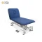 Electric Physiotherapy Treatment Table with Multi-Level Adjustable Backrest – 1-Year Warranty