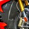 BMW S1000R