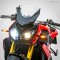 BMW S1000R