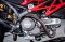 Ducati Monster 796 DP
