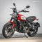 Ducati Scrambler Icon