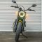 Ducati Scrambler Icon Yellow 800 CPO ( Certified Pre-Owned )