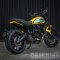 Ducati Scrambler Icon