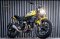 Ducati Scrambler Icon