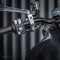 Ducati Monster 937 CPO (Certified Pre-Owned)