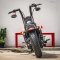 Harley-Davidson Sportster Forty-Eight
