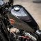 Harley-Davidson Sportster Forty-Eight