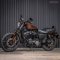 Harley-Davidson Iron 883
