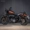 Harley-Davidson Iron 883