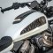 Harley Davidson Sportster S