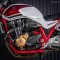 Honda CB1300 Super Four ProjectBig1