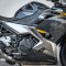 Kawasaki Ninja400 HG