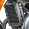 Royal Enfield Shotgun650
