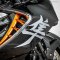 Suzuki Hayabusa