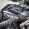 Triumph Tiger900 GT Aragón Edition