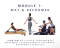 INSTRUCTOR TRAINING (REFORMER)