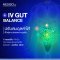 IV Gut Health: Vitamin Therapy Recipe For Intestinal Balance