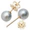 7.69-7.78 mm Akoya Hanashinju Pearl Stud Earrings