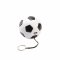 PowerBank football