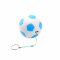 PowerBank football