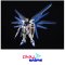 HGCE Freedom Gundam Revive